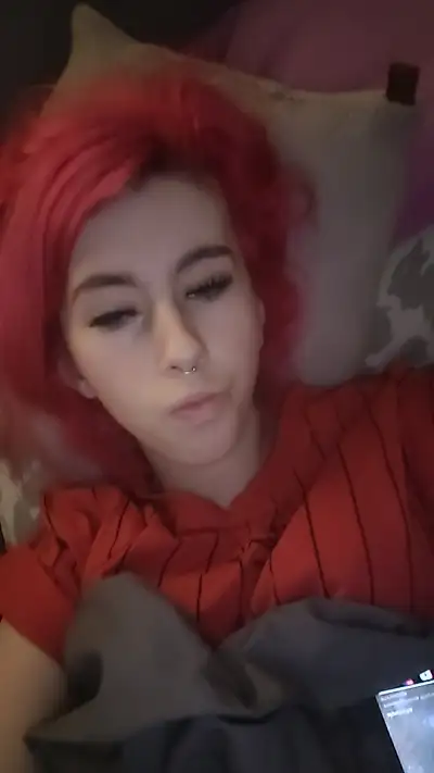 Ein kleiner mix eurer Lieblings Katze 