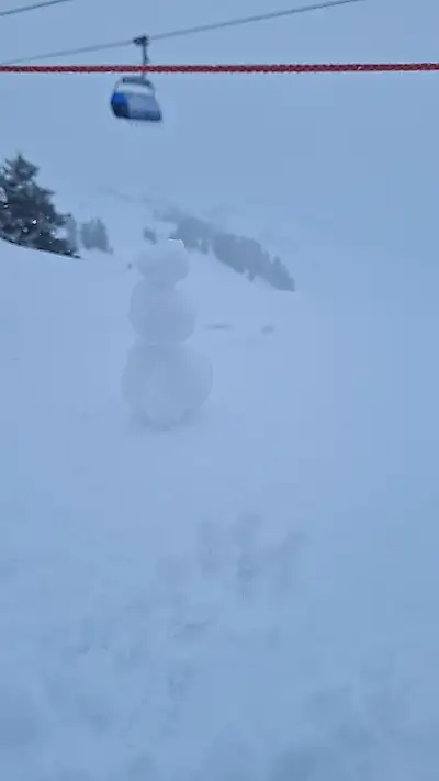 My snowboard vacation