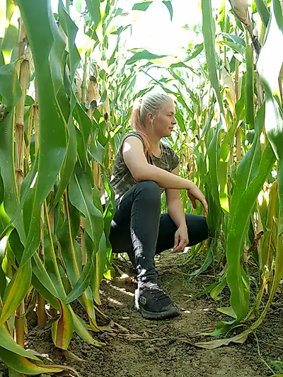 A short detour into the cornfield