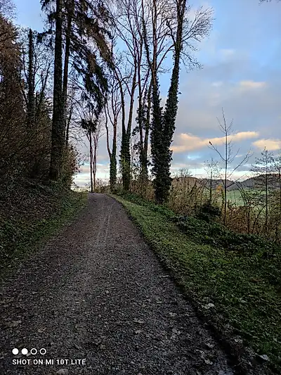 Kleiner Ausschnitt meines Spaziergangs