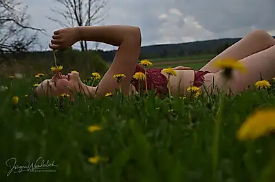 Pure nature in the flower meadow