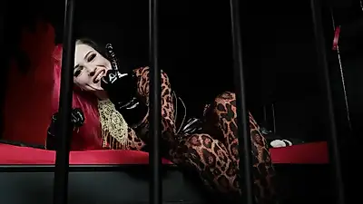 The whole weekend in my cage