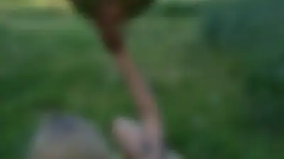 Я люблю фотографію та повітряні кульки 🎈. 