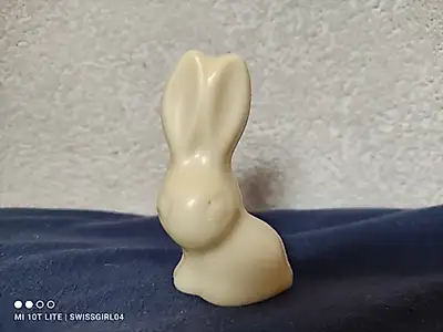 Where does the little rabbit want to go