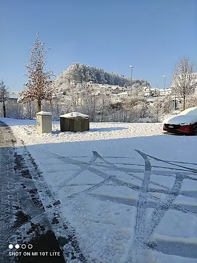 P**se on the forest path