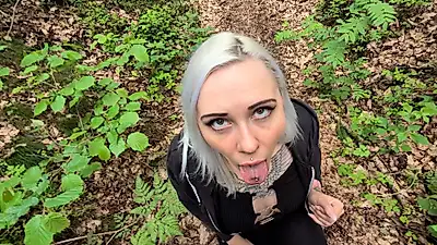 Сучки в лісі