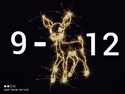 Del 9 al 12 de diciembre 