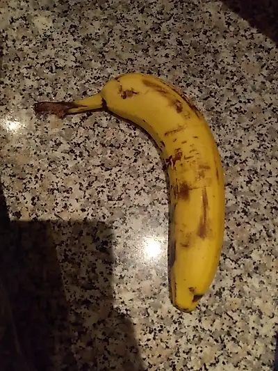 Suck your morning wood