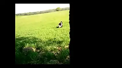 Observed… and what became of it