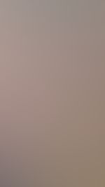 Beine breit und F***e zeigen