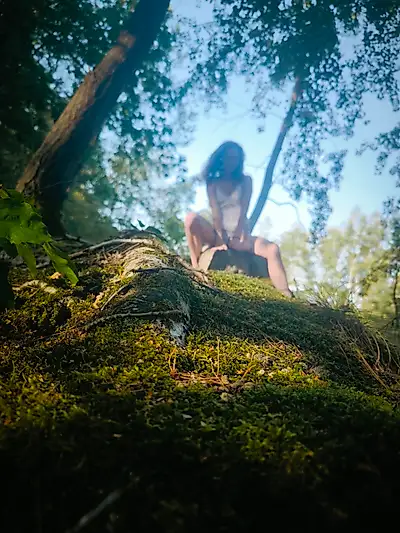 A still lake in the forest.