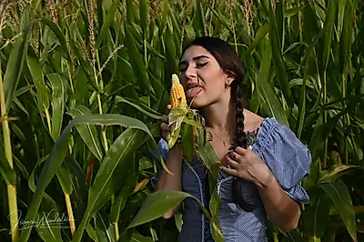 Is the corn ripe yet? 18+