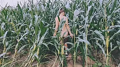 Cornfield Adventure