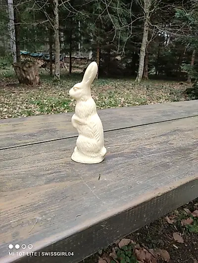 Im Wald mit dem Schokohasen