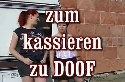 zum kassieren zu doof