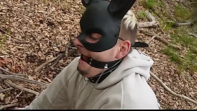 "Today my slave had to accept his punishment: He was dominated, treated strictly, whipped, and repeatedly humiliated and insulted."