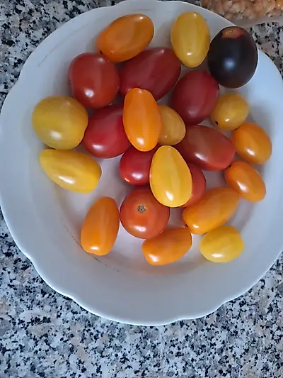 Welche Tomate war wohl in mir?