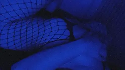 JE VEUX QUE TU VENES !🔞😈