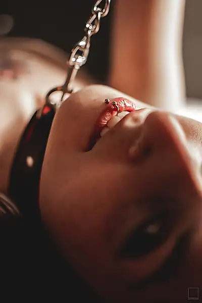 Tied to the leash